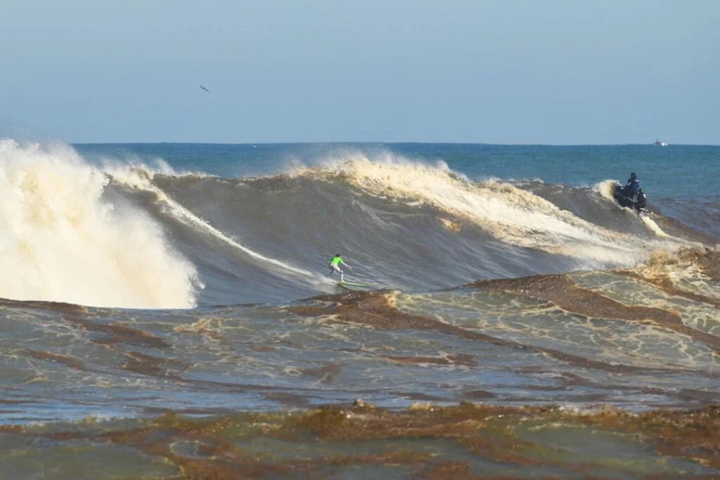 Michelle Des Bouillons BigWave Cardoso MarcioDavid0111