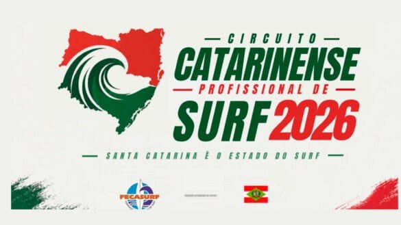 cartaz palmas
