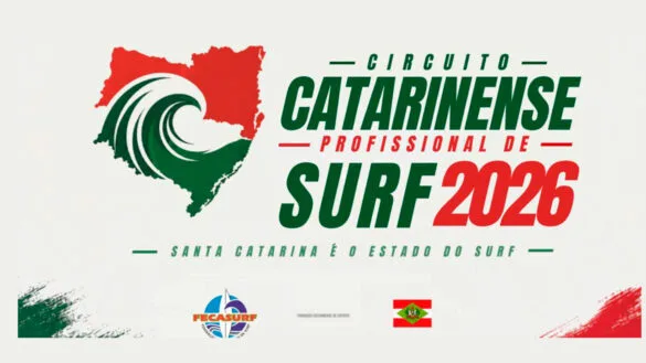 cartaz palmas